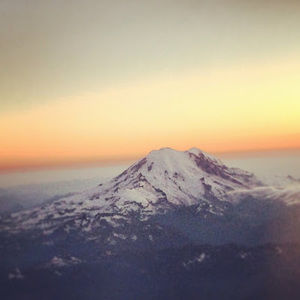 Meet your Posher, Shelly